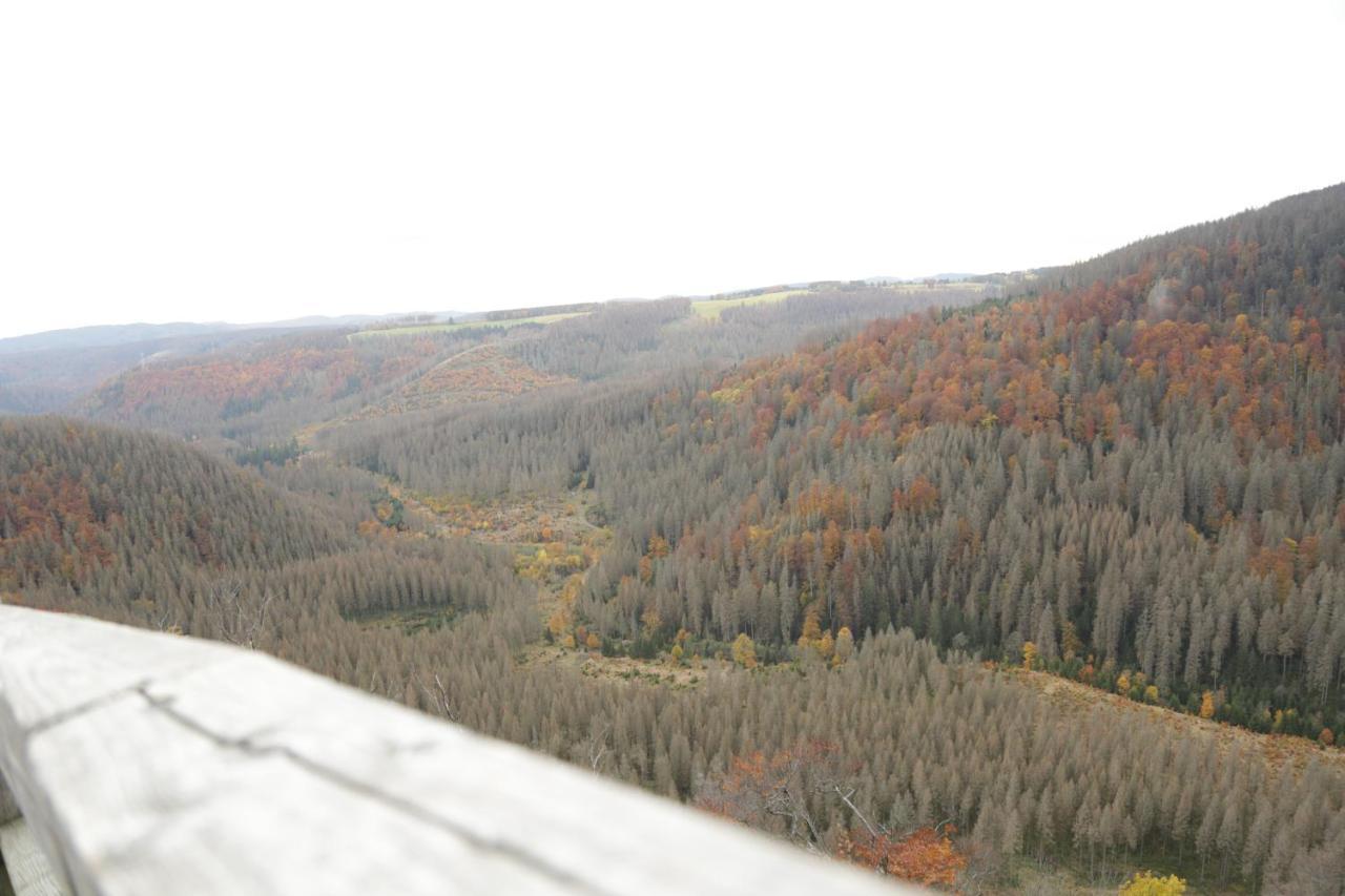 Haus Hohensee Hotel Clausthal-Zellerfeld Bagian luar foto