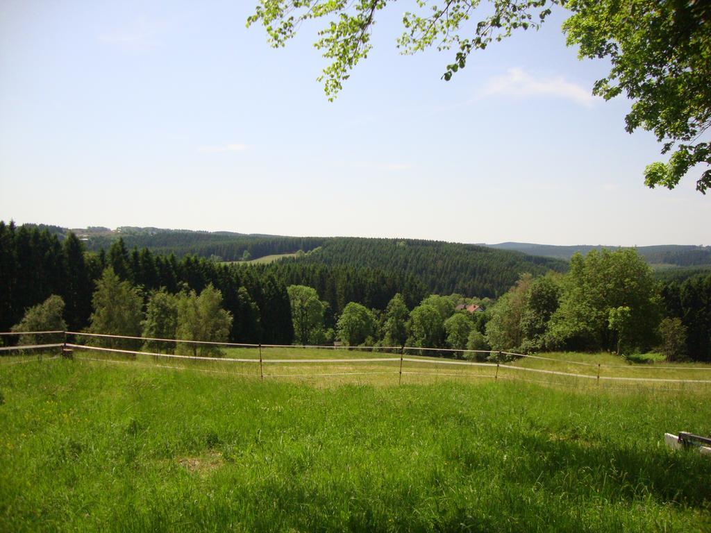 Haus Hohensee Hotel Clausthal-Zellerfeld Bagian luar foto